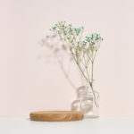 2025年もどうぞよろしくお願いいたします。